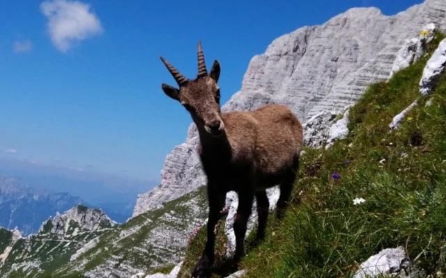 Cima di Terrarossa